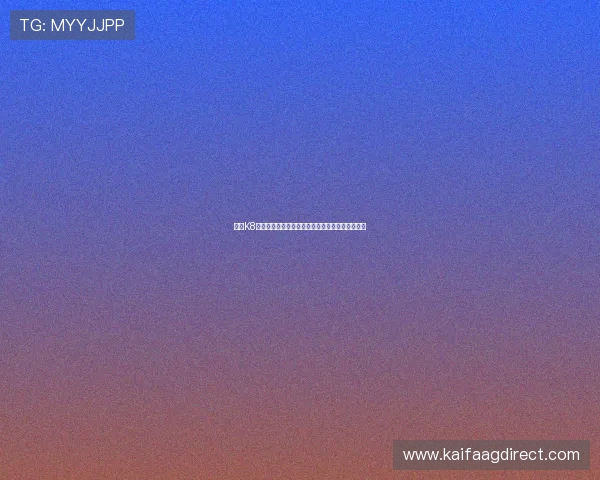 凯发K8平台现金开户流程优化，提升用户体验与操作效率