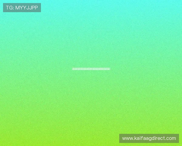 凯发国际平台首页登录流程详解及常见问题解决方案推荐