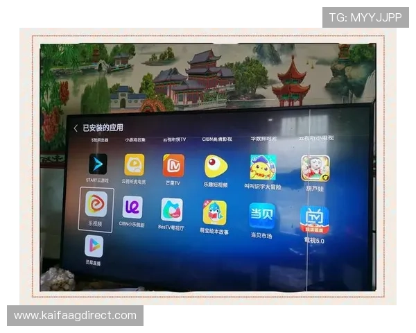 便捷快速的凯发客户端app下载指南,轻松开启您的娱乐之旅